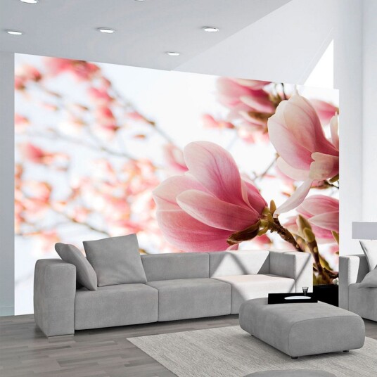 Fototapet Rosa Magnolia 350x270 - Artgeist sp. z o. o.