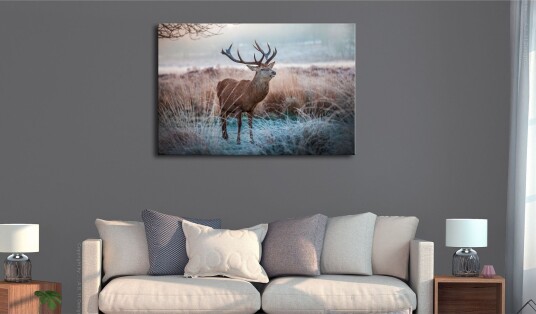 Tavle Wild Animal 90X60 Artgeist sp. z o. o.