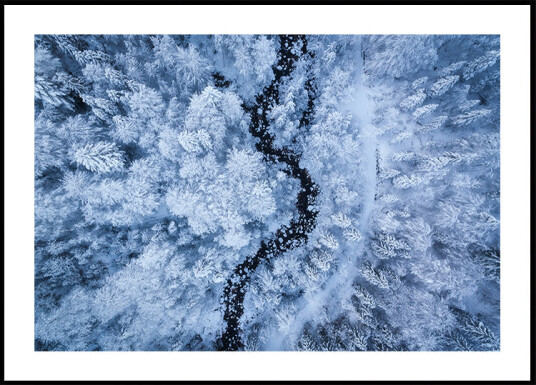 A Freezing Cold Beauty Plakat Plakat / 100x150cm