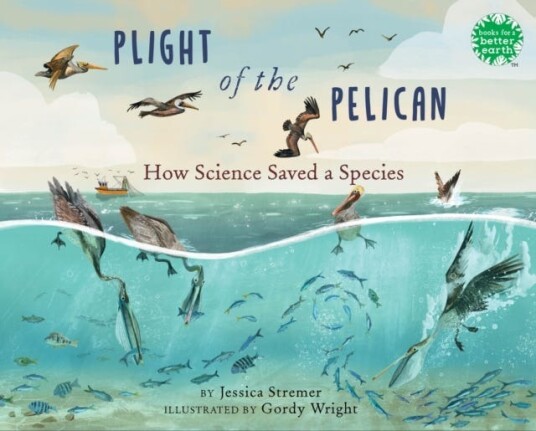 Plight of the Pelican How Science Saved a Species Plight of the Pelican How Science Saved a Species