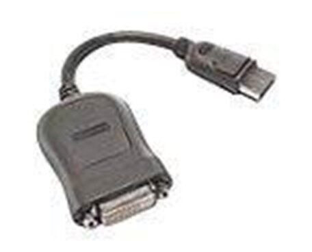 Lenovo DisplayPort cable - 20 cm Lenovo DisplayPort cable - 20 cm