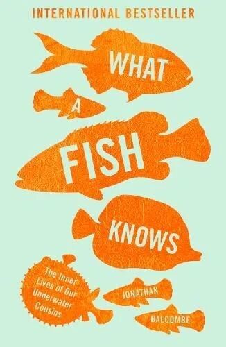 What A Fish Knows Av Jonathan Balcombe