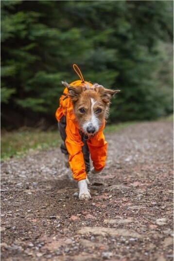 Non-Stop Dogwear Fjord Regndress 27 Orange/Sort til Hund
