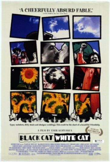 Black Cat, White Cat DVD Black Cat, White Cat DVD
