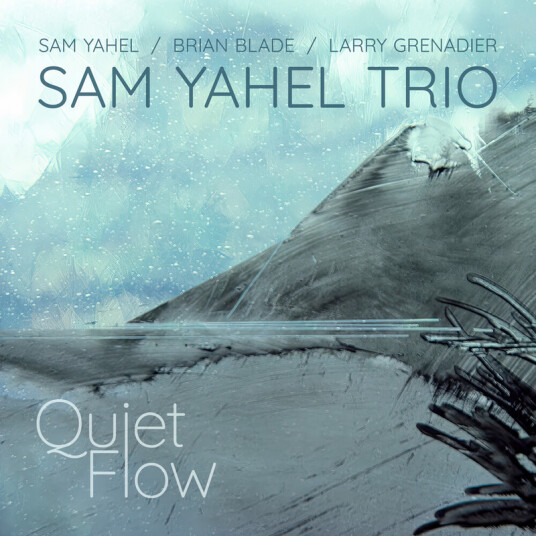 Sam Yahel Quiet Flow CD