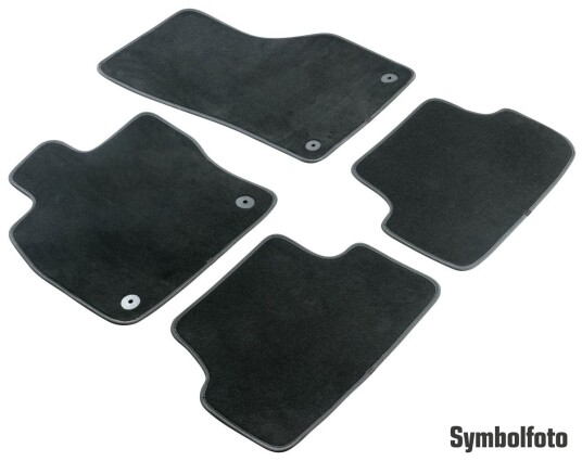 Bilmatter WALSER 80396