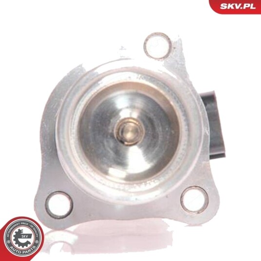 EGR-ventil ESEN SKV 14SKV010