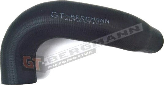 GT-BERGMANN GT55351862 Ladeluftslange