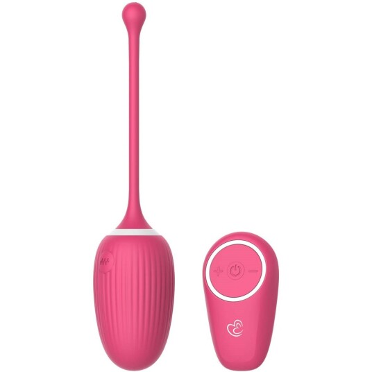 EasyToys Rechargeable Vibrating Egg