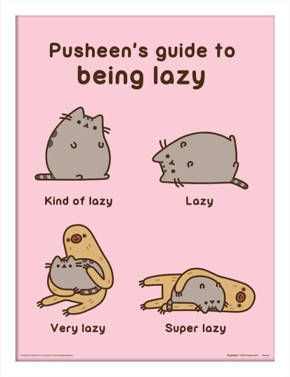 Pusheen Innrammet Bilde 30 x 40 cm Guide To Being Lazy