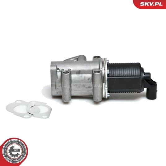 EGR-ventil ESEN SKV 14SKV006