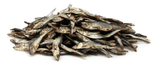 Frigera - Natural Dog Chews Sprats 150gr - (402285861762)