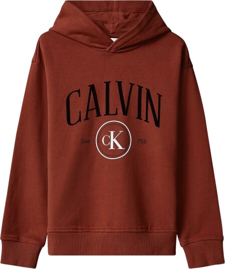 Calvin Klein Calvin Ck Circle Hoodie Brown 128