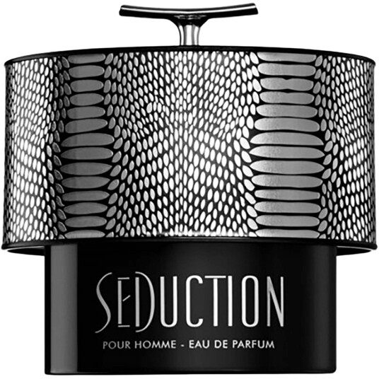 Armaf Seduction Pour Homme Eau De Parfum 100 Ml Mann Armaf Seduction Pour Homme Eau De Parfum 100 Ml Mann