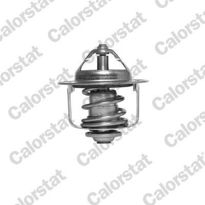 Termostat CALORSTAT by Vernet TH6858.89J