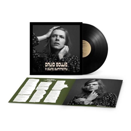 David Bowie A Divine Symmetry An Alternative Journey Through Hunky Dory Vinyl