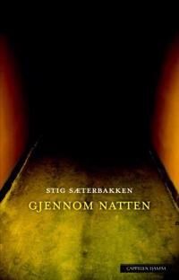 Gjennom Natten Av Stig Sæterbakken
