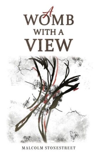 A Womb With a View A Womb With a View