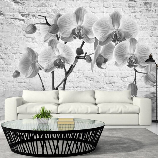 Fototapet Orchid In Shades Of Gray 300x210 - Artgeist sp. z o. o.