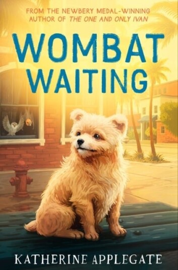 Wombat Waiting Wombat Waiting
