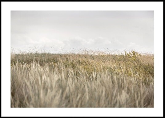Dunes and Clouds 2 Plakat / 50x70cm