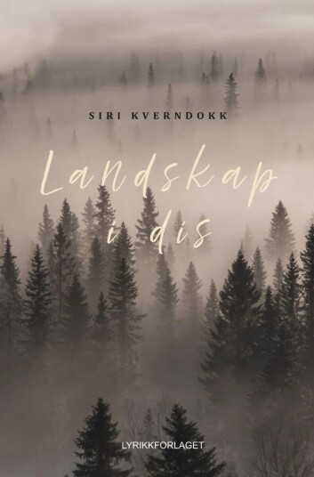 Landskap I Dis Av Siri Kverndokk