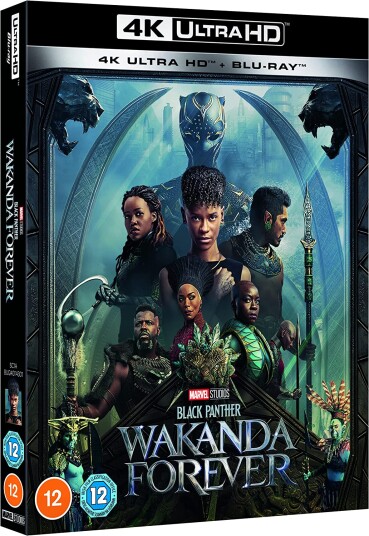 Black Panther 2 Wakanda Forever Black Panther 2 Wakanda Forever