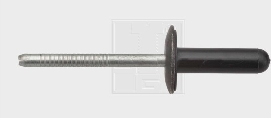 Blindnagle SWGAutomotive 50051380