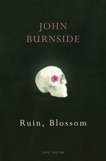Ruin, Blossom Ruin, Blossom