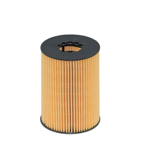 Oljefilter FILTRON OE 669/1 Oljefilter FILTRON OE 669/1