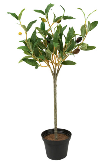 Mr. Plant Oliventre 40 cm
