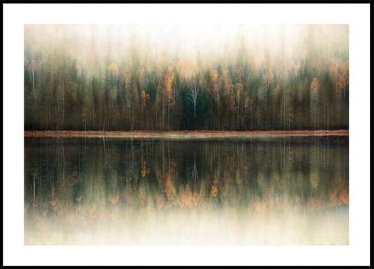 Reflection Of Autumn Plakat Plakat / 21x30cm