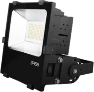 Ledlife 100W LED lyskaster   IP65 arbeidslampe for maritimt bruk belagt aluminium + 316 rustfritt stål   Dimbar : Ikke dimbar Kulør : Nøytral