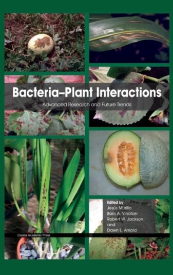 Bacteria Plant Interactions