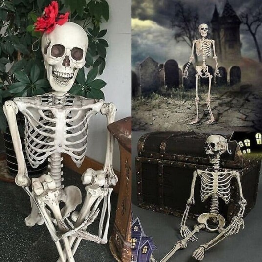Halloween Skjelett i Full Størrelse med Bevegelige Ledd