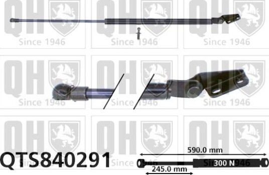 QUINTON HAZELL QTS840291 Baklukedemper