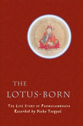 The Lotus Born The Lotus Born