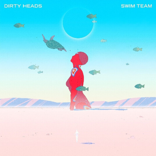 Dirty Heads Swim Team CD