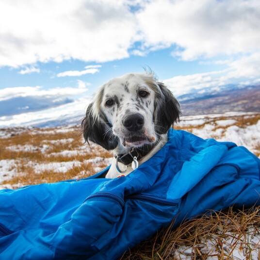 Non-Stop Dogwear Ly Sovepose For Hund Blue M