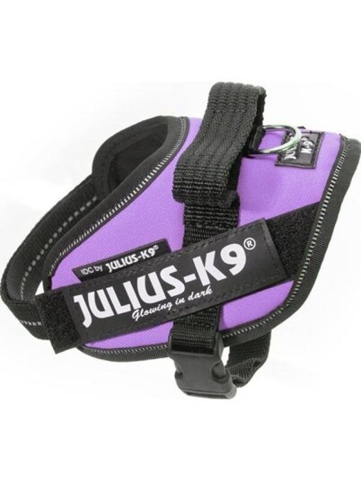 Julius-K9 IDC harness  size.  Mini-Mini purple 40-53 cm