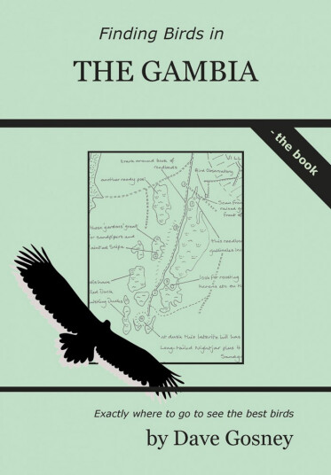 Finding Birds in the Gambia Finding Birds in the Gambia