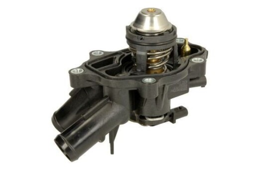 Termostat THERMOTEC D2PE001TT
