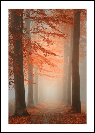 Autumn Dream Poster Plakat / 30x40cm
