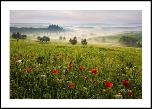 Tuscan spring Poster Plakat / 70x100cm Tuscan spring Poster Plakat / 70x100cm
