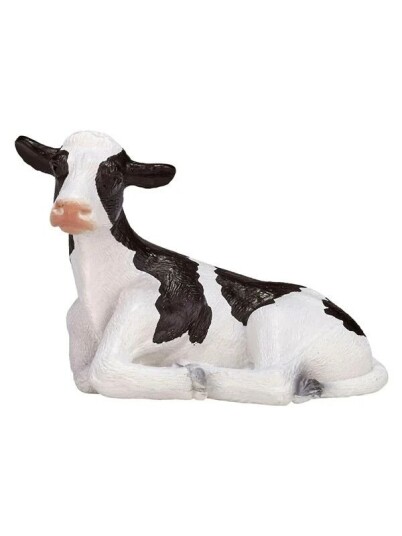 Mojo   Farmland Holstein Calf Lying