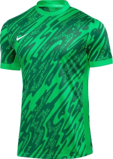 Nike Keeperdrakt Dri-FIT Gardien V Grønn/Grønn/Hvit L