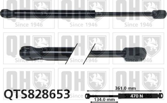 QUINTON HAZELL QTS828653 Baklukedemper
