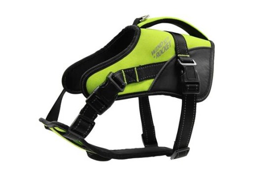 Zooland Zooland Wild Explorer Sele Grønn M