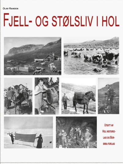 Fjell- Og Stølsliv I Hol Av Olav Randen