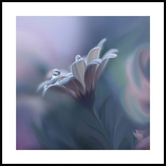 Behind Closed Eyes Poster Plakat / 40x40cm